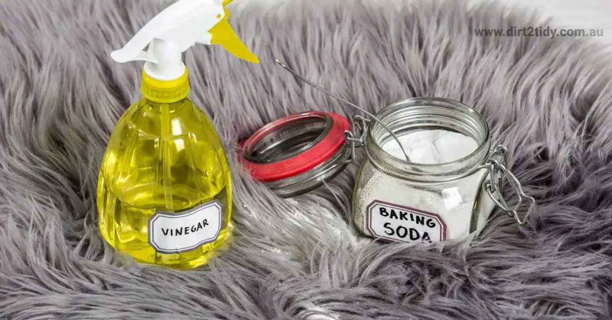 How to remove old pet stains from my carpet and rugs? Dirt2Tidy