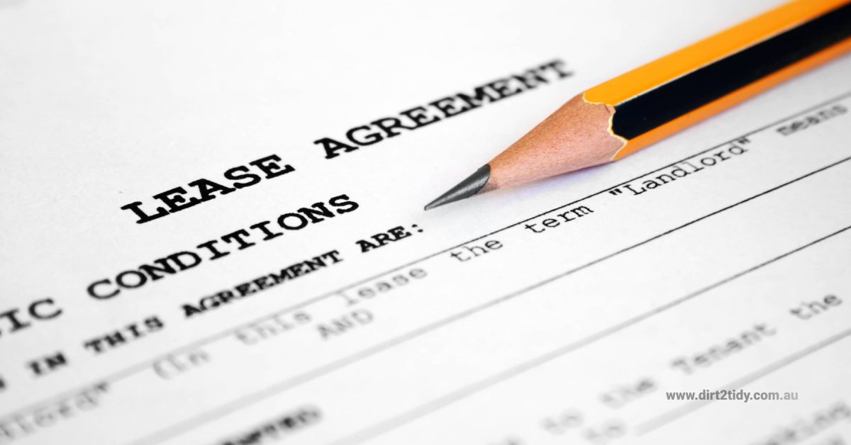 Can I break my lease because of cockroaches and mice? Dirt2Tidy