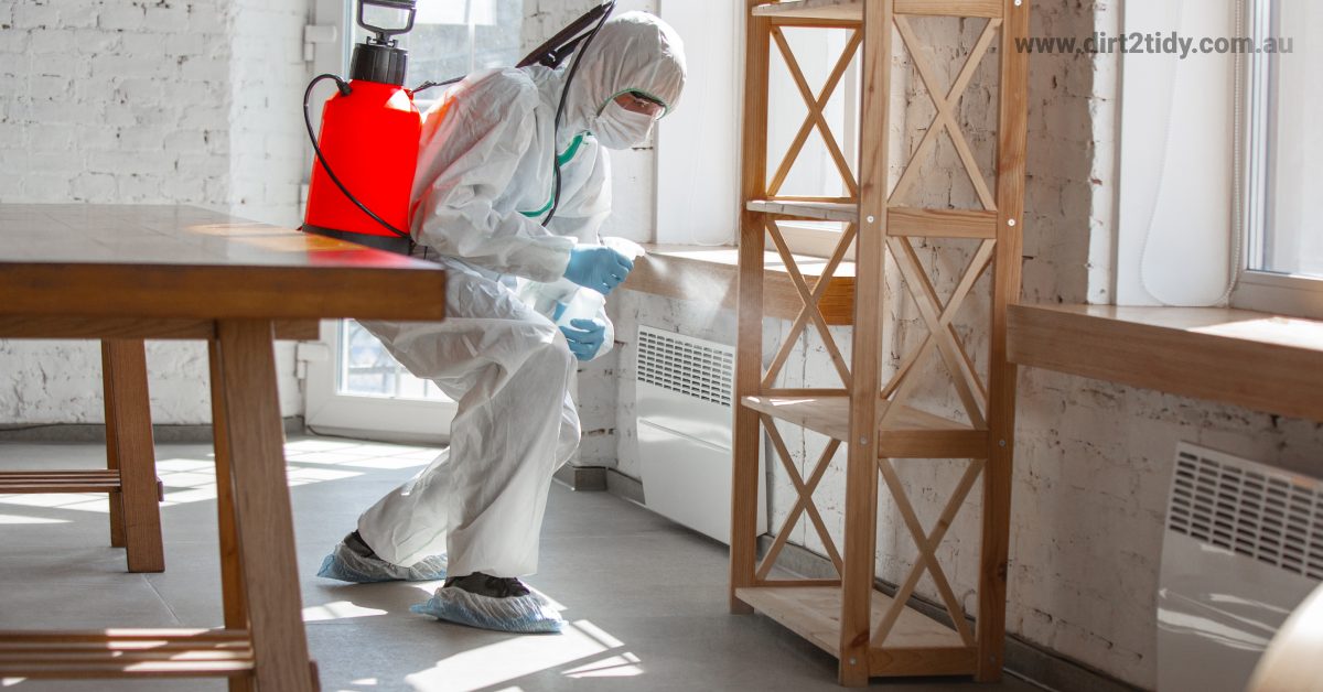 How do apartment complexes handle pest control? Dirt2Tidy