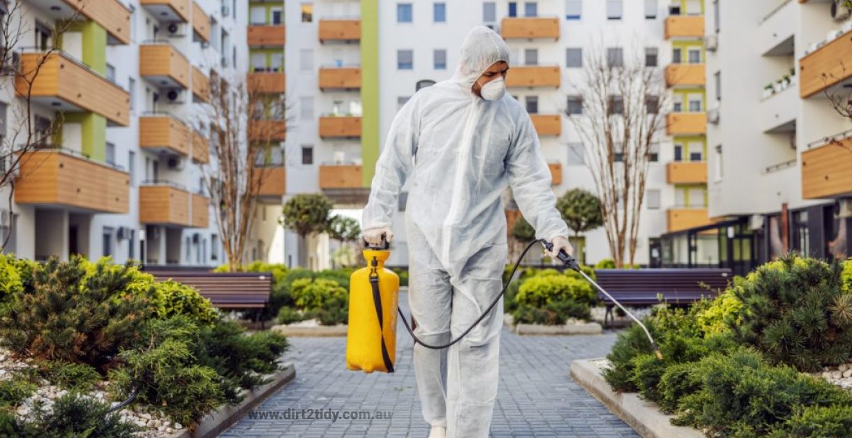 How do apartment complexes handle pest control? Dirt2Tidy