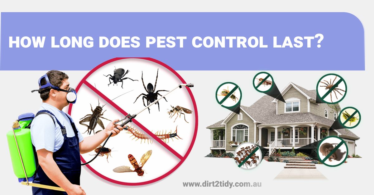 How long does pest control last? Dirt2Tidy