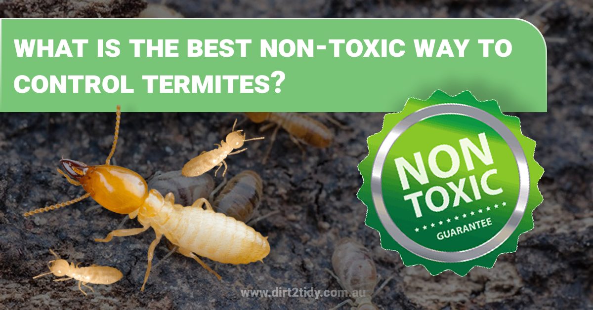 What is the best nontoxic way to control termites? Dirt2Tidy