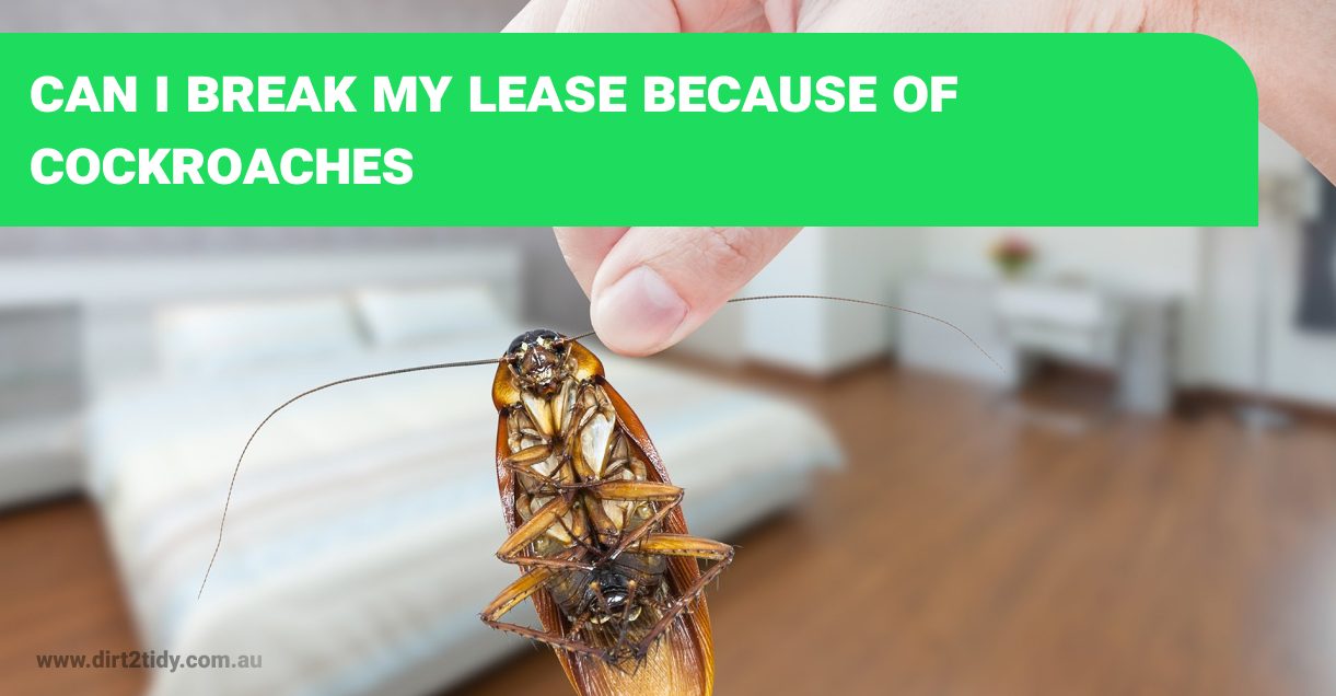 Can I break my lease because of cockroaches? Dirt2Tidy