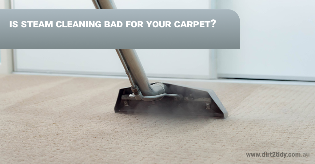 Is steam cleaning bad for your carpet? Dirt2Tidy