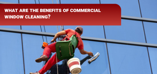 commercial window