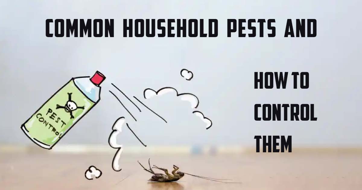 Common Household Pests and Effective Control Methods