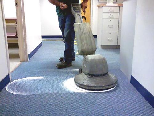 What Role Does Carpet Steam Cleaning Play in Getting your Bond Back? 5 end of lease carpet cleaning