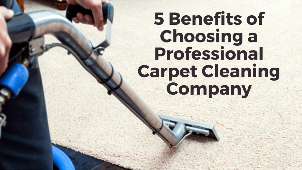 When can you Claim your Bond After Cleaning? 4 Mountain Lake Budget travelling YouTube Thumbnail 2