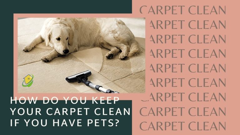 How Do You Carpet Rug Clean If You Have Pets?
