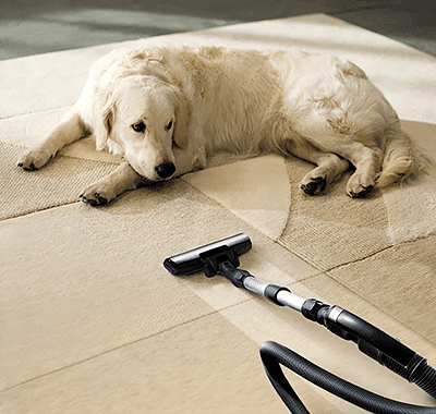 Dry Carpet Cleaning