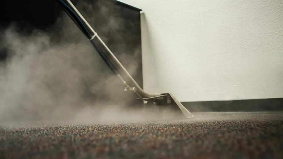 A professional cleaner uses a steam cleaner to deep clean the carpet, ensuring a fresh and spotless finish.