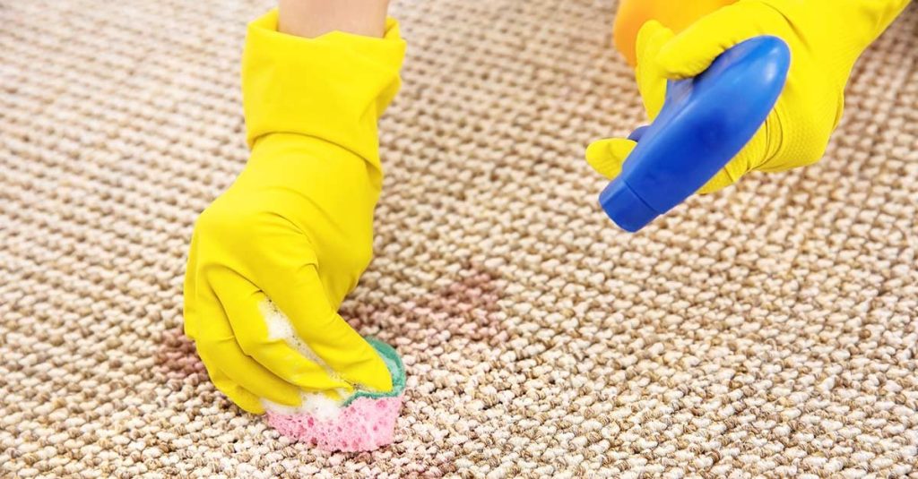 carpet clean
