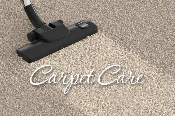 How Do I Keep Insects and Beetles From Breeding in My Carpet? 8 Carpets