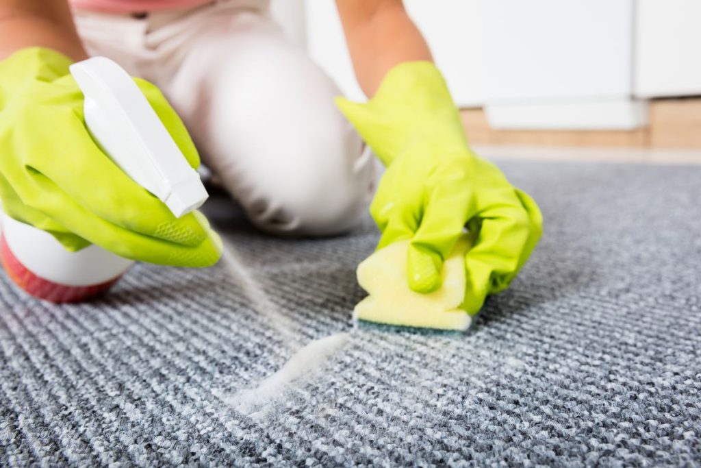 Rug and Carpet Cleaning Hints and Techniques 3 Rug and Carpet