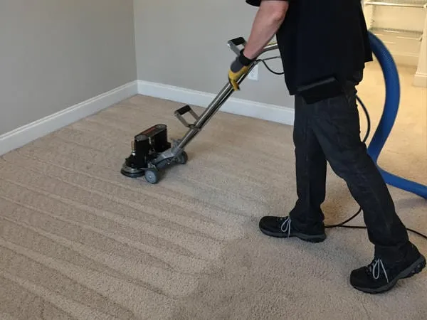 Is Bond Cleaning and End of Lease Cleaning Same? 5 Carpet cleaning ensures the property meets landlord expectations and is in pristine condition for the next tenant.