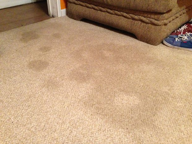 Rug and Carpet Cleaning Hints and Techniques 1 Rug and Carpet