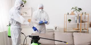 How to keep your home clean and free from the corona virus? 4 covid cleaning