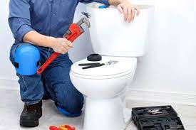 toilet cleaning