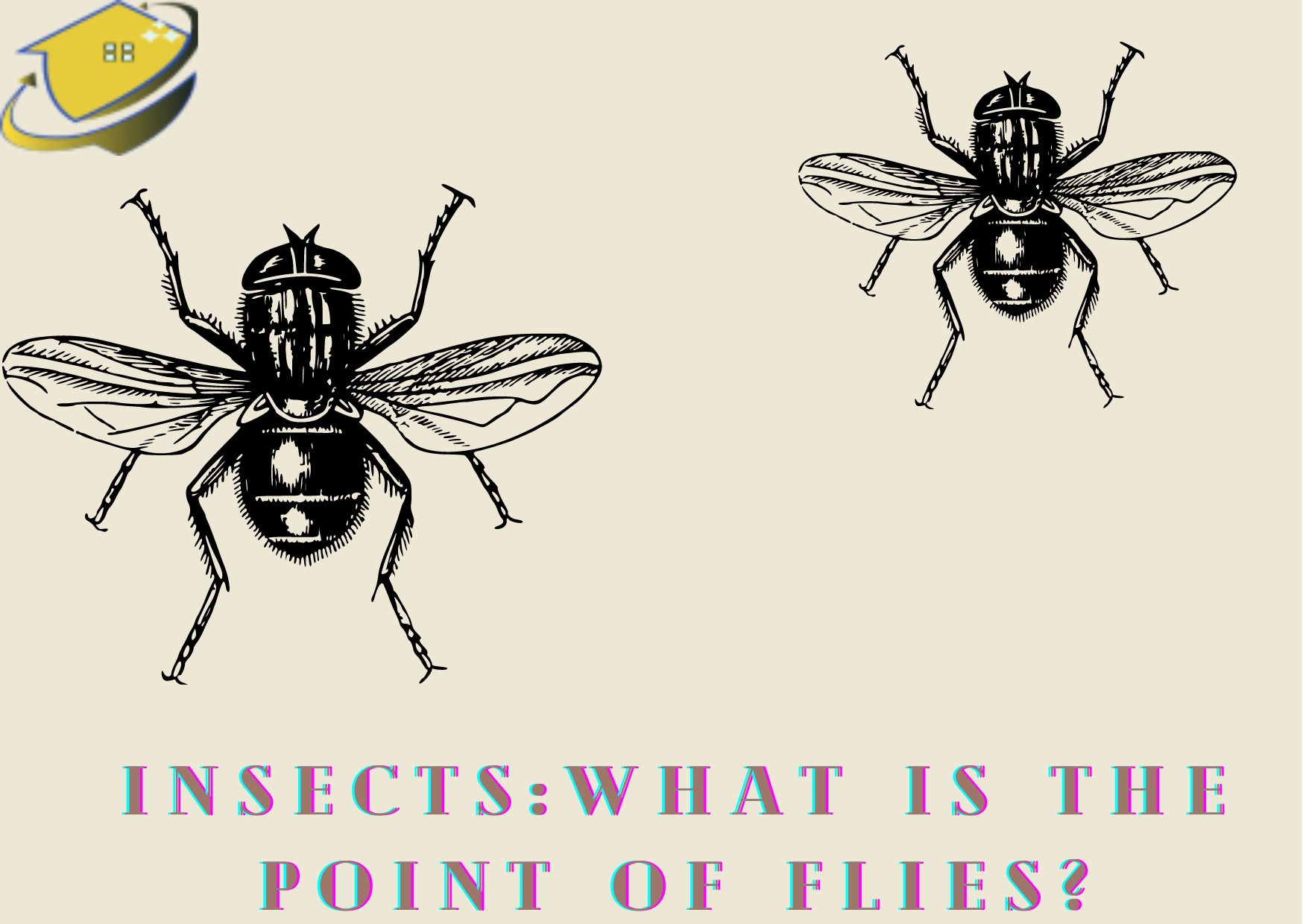 Insects: What Is The Point Of Flies? | Dirt2Tidy