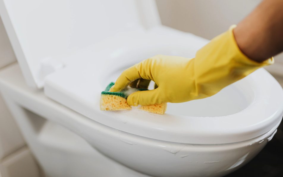 Clean the bathroom 1