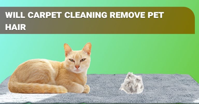 carpet cleaning