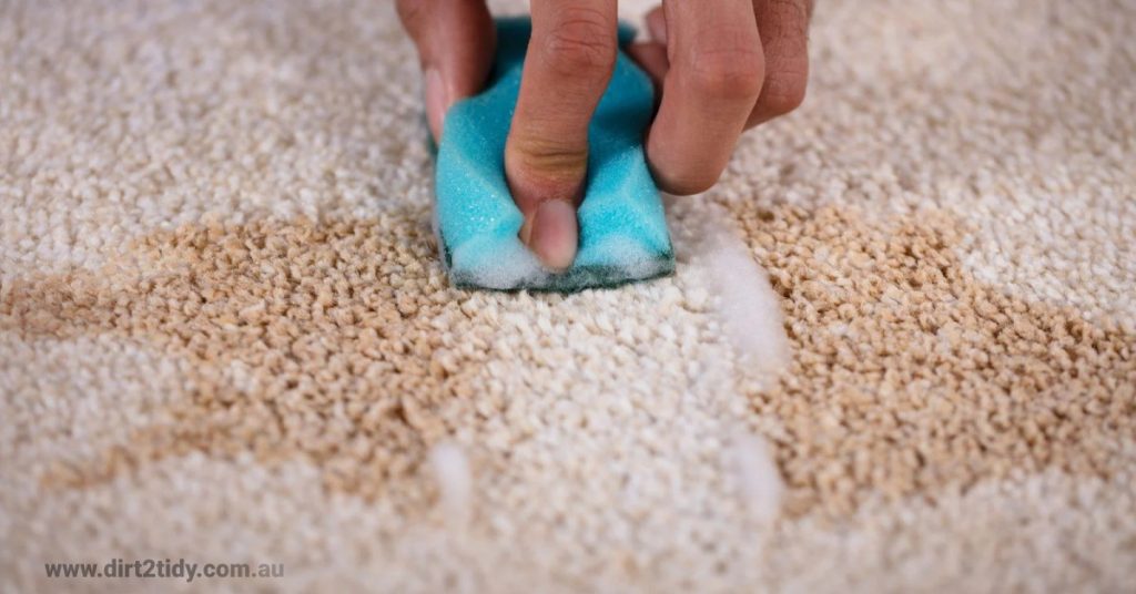 wood stains from a carpet, carpet steam cleaning service