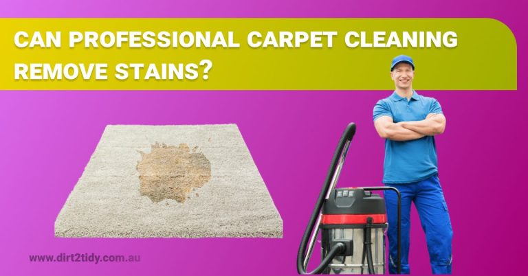 carpet cleaning