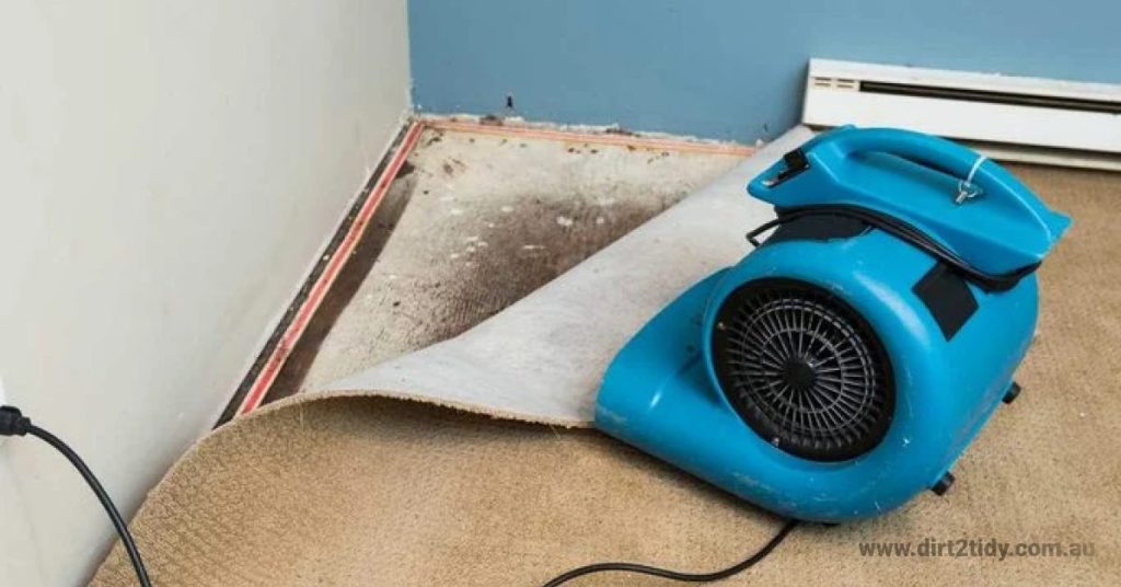 How soon can you walk on a carpet after cleaning? 3 steam cleaning