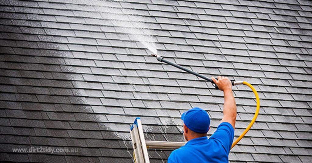 roof cleaning
