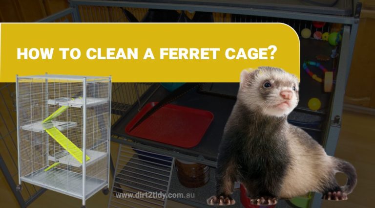 Ferret cage cleaning