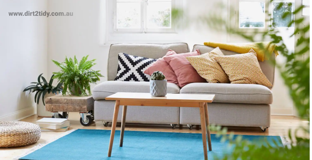 How to clean out a potting soil stain from a rug? 2 How to clean out a potting soil stain