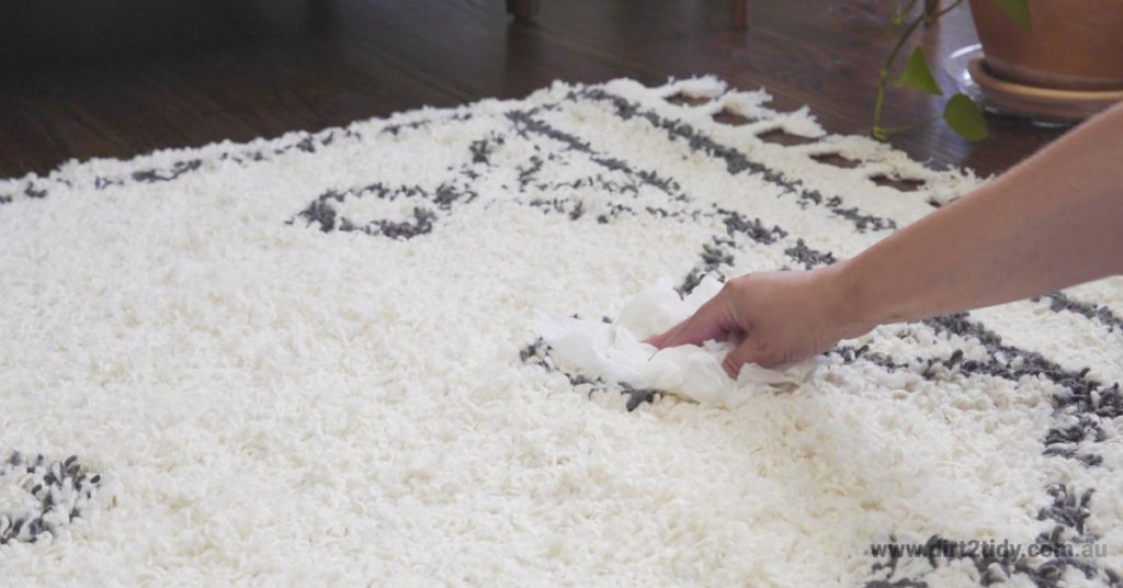 pet stains from my carpet