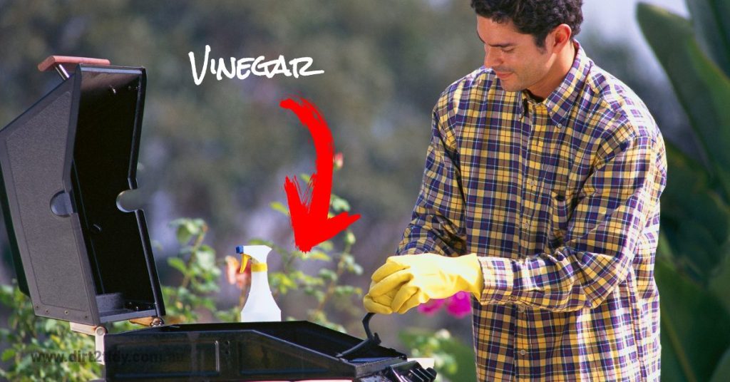 End of lease cleaning