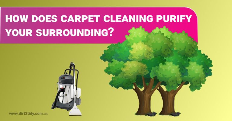 carpet cleaning