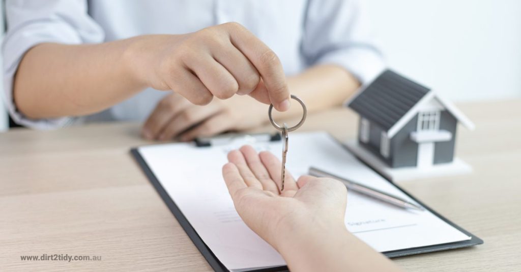 carpet steam cleaning