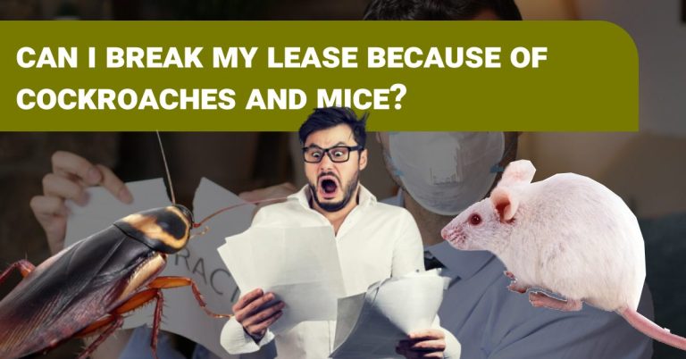 end of lease cleaning