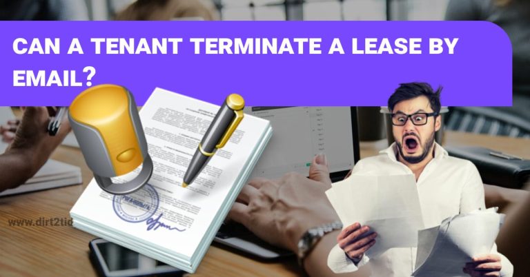 end of lease cleaning