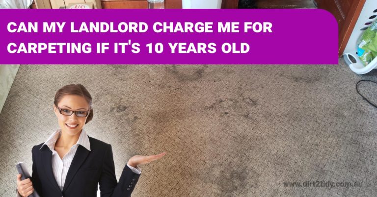 carpet steam cleaning