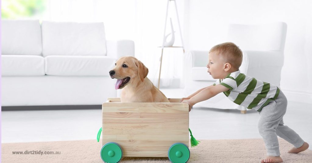 carpet cleaning perth