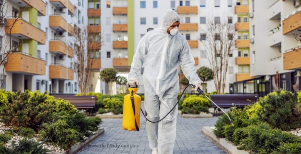 How do apartment complexes handle pest control? 3 end of lease cleaning