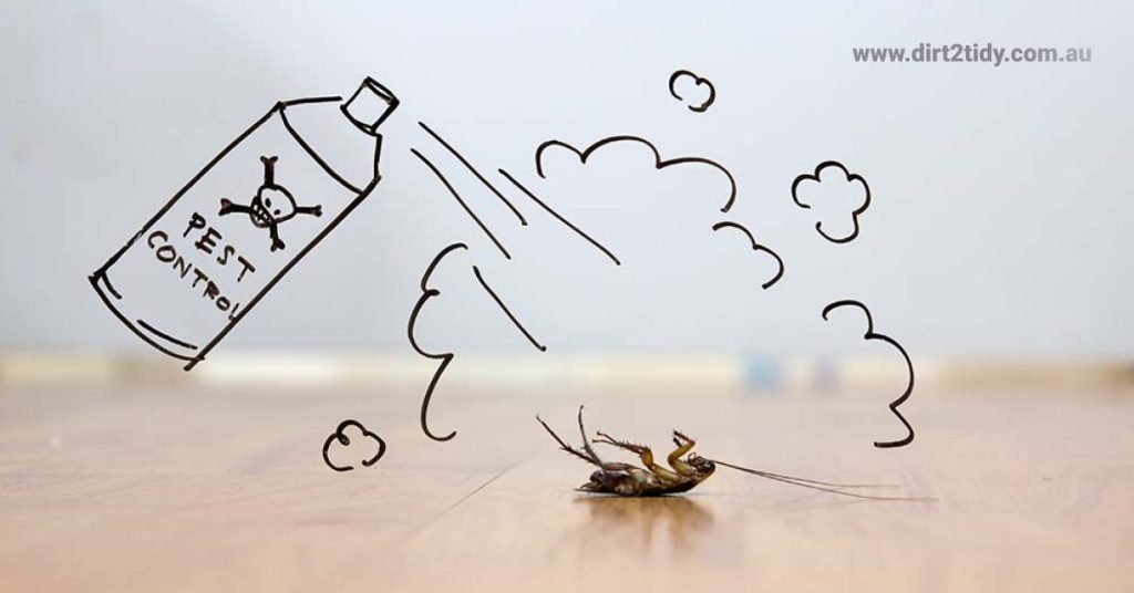 How do apartment complexes handle pest control? 2 steam cleaning