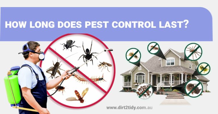 Pest Control