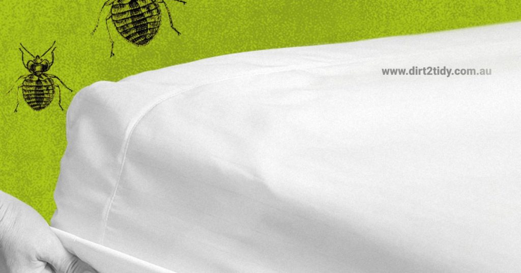 pest control services