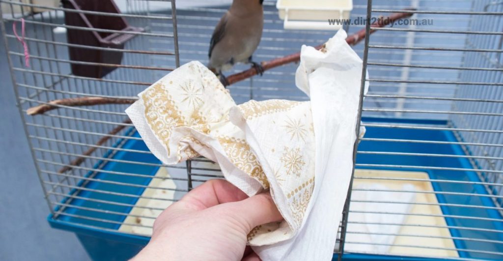 end of lease cleaning