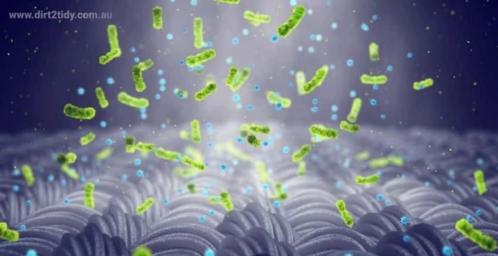 end of lease cleaning