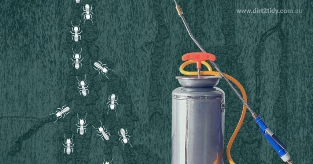 Which is the best chemical for termite control? 2 end of lease cleaning