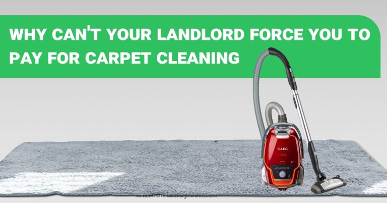 carpet cleaning