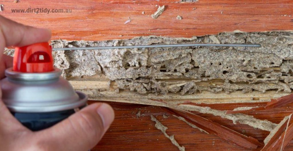 end of lease cleaning