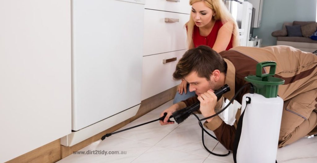 Can I break my lease because of cockroaches4