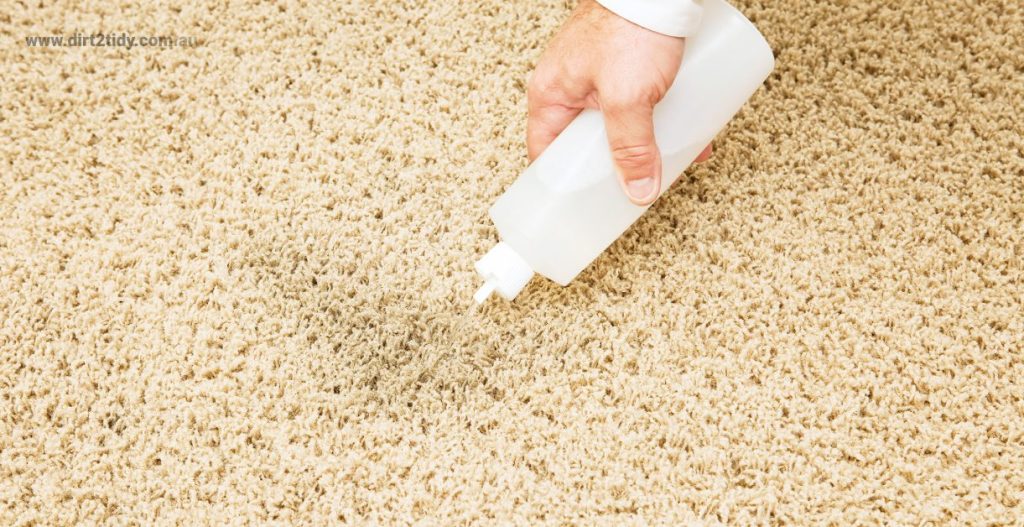 How can I get rid of dirty water stains on my carpet? 1 steam cleaning